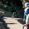 Zum News-Artikel Neuer Flow Trail im Bikepark Leogang